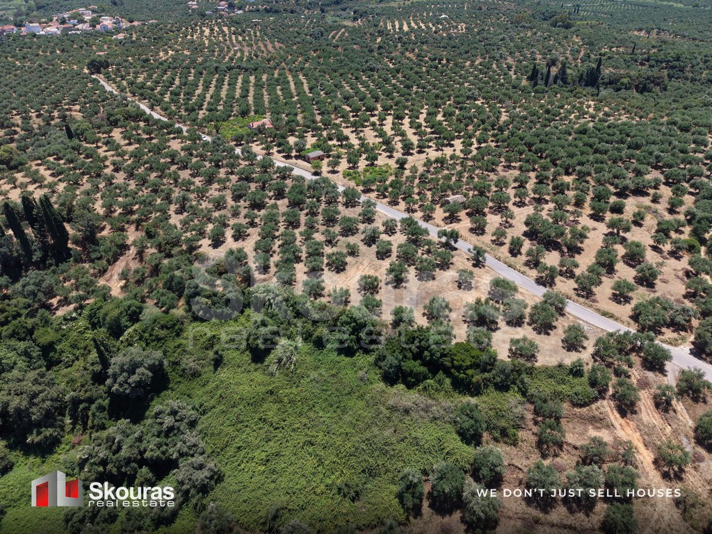 Οικόπεδο 5.675 τ.μ. προς πώληση, Δρακονέρι