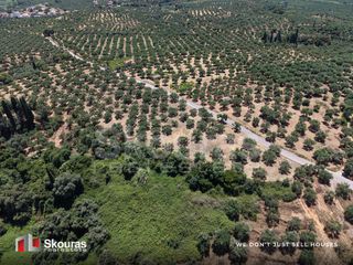 Οικόπεδο 5.675 τ.μ. προς πώληση, Δρακονέρι-thumb-4