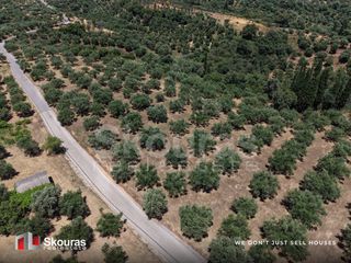 Οικόπεδο 5.675 τ.μ. προς πώληση, Δρακονέρι-thumb-8