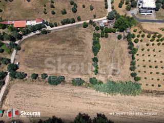 Αγροτεμάχια 5.361,17 τ.μ. για πώληση, Μεσσηνία, Μεσσήνη-thumb-11