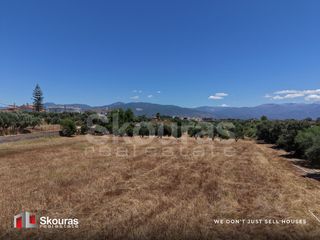 Αγροτεμάχια 5.361,17 τ.μ. για πώληση, Μεσσηνία, Μεσσήνη-thumb-17