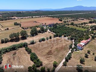 Αγροτεμάχια 5.361,17 τ.μ. για πώληση, Μεσσηνία, Μεσσήνη-thumb-10