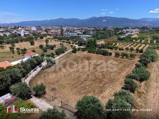 Αγροτεμάχια 5.361,17 τ.μ. για πώληση, Μεσσηνία, Μεσσήνη-thumb-5
