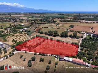 Αγροτεμάχια 5.361,17 τ.μ. για πώληση