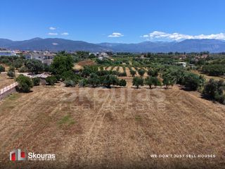 Αγροτεμάχια 5.361,17 τ.μ. για πώληση, Μεσσηνία, Μεσσήνη-thumb-14