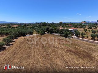 Αγροτεμάχια 5.361,17 τ.μ. για πώληση, Μεσσηνία, Μεσσήνη-thumb-16