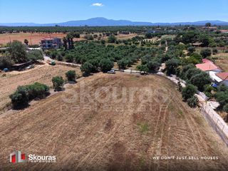 Αγροτεμάχια 5.361,17 τ.μ. για πώληση, Μεσσηνία, Μεσσήνη-thumb-13