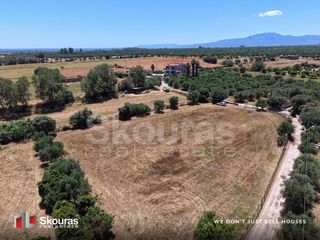 Αγροτεμάχια 5.361,17 τ.μ. για πώληση, Μεσσηνία, Μεσσήνη-thumb-9