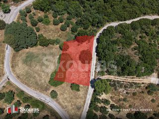 Οικόπεδο 915,23 τ.μ. προς πώληση, Μαθιά Πεταλιδίου-thumb-8