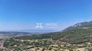 Οικόπεδο 156 τ.μ. για πώληση, Ν. Καβάλας, Ορφανό-thumb-11