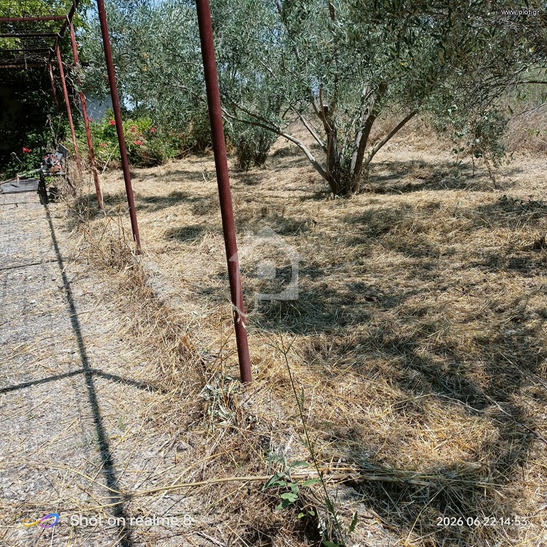 Αγροτεμάχια 1.000 τ.μ. προς πώληση, Λιβαδάκιο