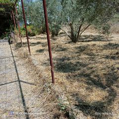 Αγροτεμάχια 1.000 τ.μ. για πώληση