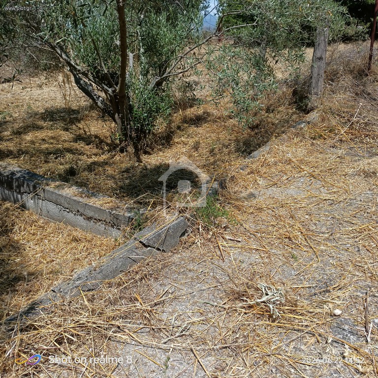 Αγροτεμάχια 1.000 τ.μ. προς πώληση, Λιβαδάκιο