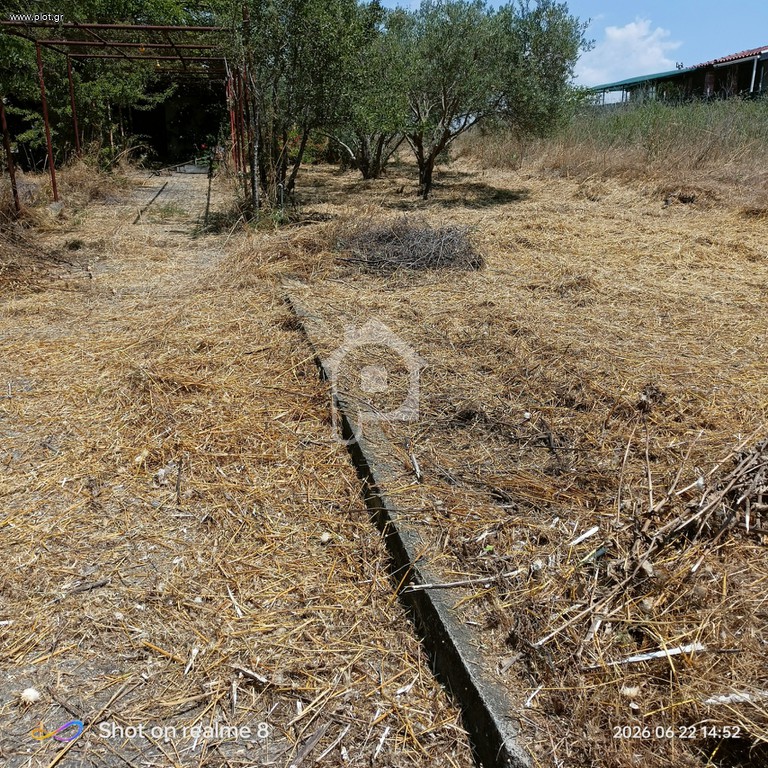Αγροτεμάχια 1.000 τ.μ. προς πώληση, Λιβαδάκιο