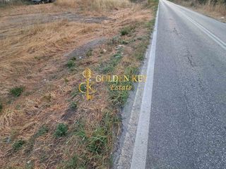 Οικόπεδο 1.550 τ.μ. για πώληση, Ν. Καβάλας, Ελευθερές-thumb-3