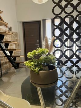 Διαμέρισμα 31 τ.μ. προς ενοικίαση