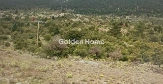 Αγροτεμάχια 9.757 τ.μ. για πώληση