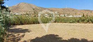 Αγροτεμάχια 5.006 τ.μ. για πώληση