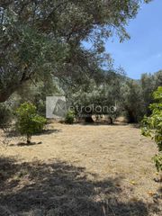 Οικόπεδο 610 τ.μ. για πώληση