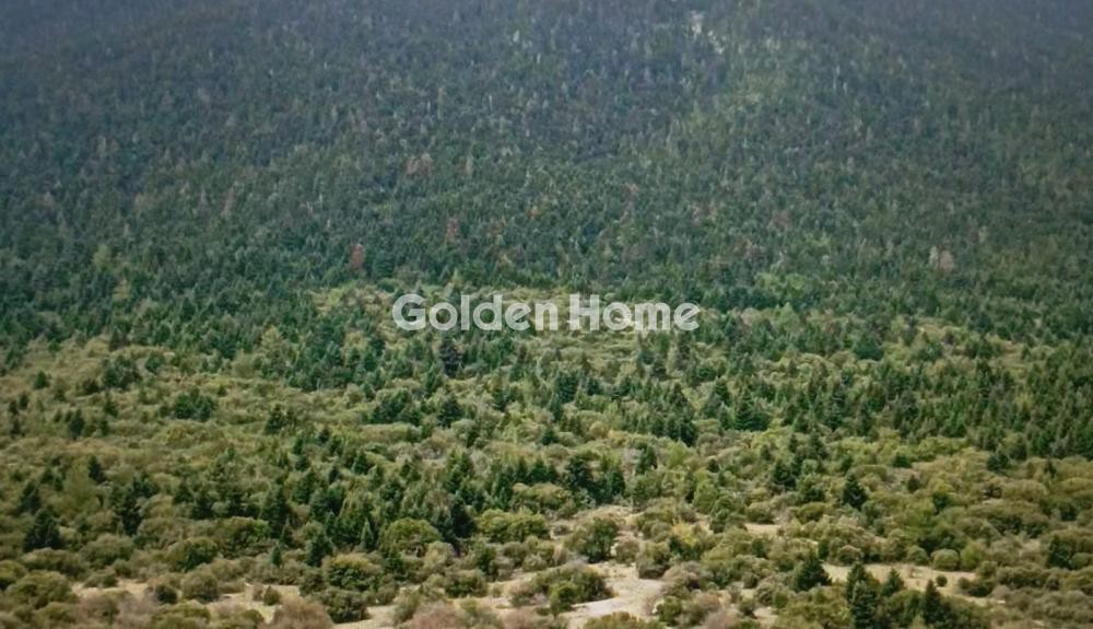 Αγροτεμάχια 863 τ.μ. για πώληση, Αρκαδία, Λεβίδι