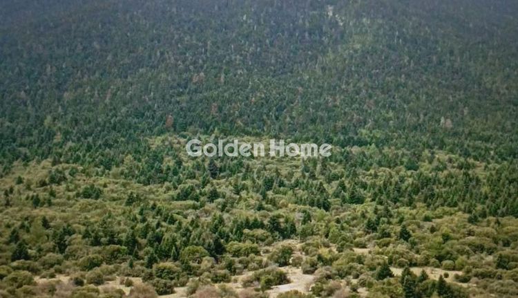Αγροτεμάχια 1.087 τ.μ. για πώληση, Αρκαδία, Λεβίδι