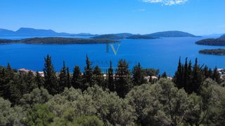 Αγροτεμάχια 10.229 τ.μ. για πώληση