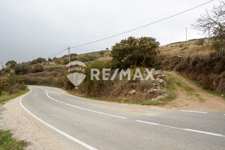 Αγροτεμάχια 2.004 τ.μ. για πώληση