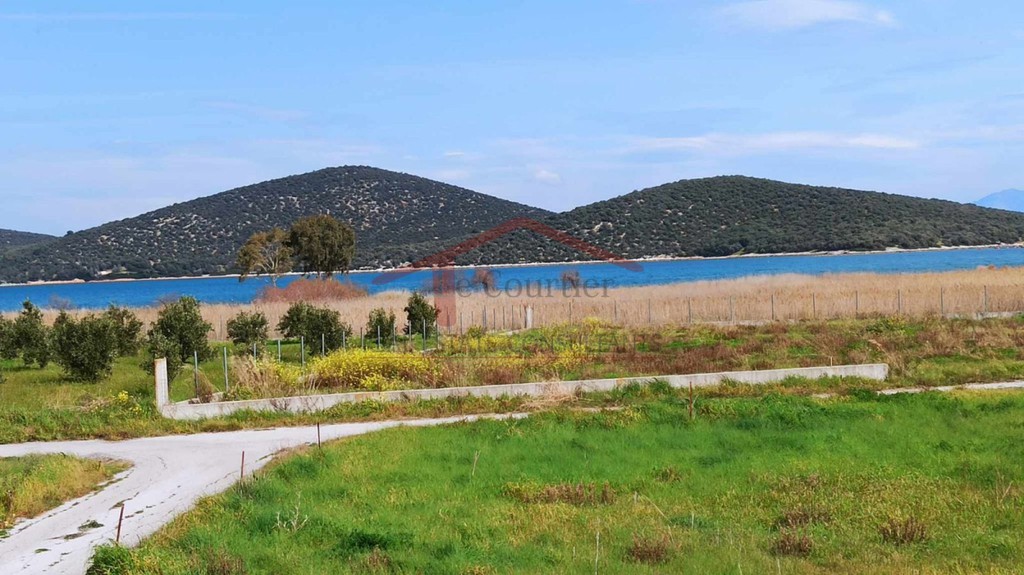 Οικόπεδο 8.525 τ.μ. πρός πώληση, Φθιώτιδας, Αταλάντη