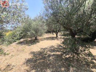 Οικόπεδο 1.041,81 τ.μ. για πώληση