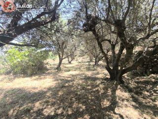 Οικόπεδο 1.041,81 τ.μ. για πώληση, Ν. Σάμου, Σάμος-thumb-2