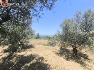 Οικόπεδο 1.041,81 τ.μ. για πώληση, Ν. Σάμου, Σάμος-thumb-5