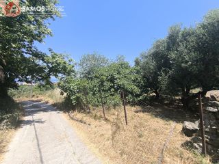 Οικόπεδο 1.041,81 τ.μ. για πώληση, Ν. Σάμου, Σάμος-thumb-6