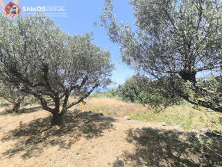 Οικόπεδο 1.041,81 τ.μ. για πώληση, Ν. Σάμου, Σάμος-thumb-7