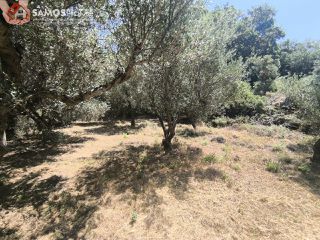 Οικόπεδο 1.041,81 τ.μ. για πώληση, Ν. Σάμου, Σάμος-thumb-9