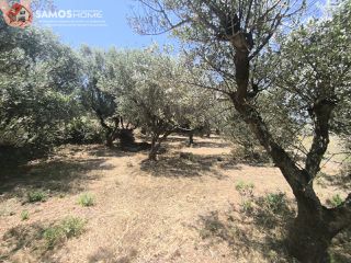 Οικόπεδο 1.041,81 τ.μ. για πώληση, Ν. Σάμου, Σάμος-thumb-10