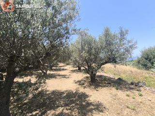 Οικόπεδο 1.041,81 τ.μ. για πώληση, Ν. Σάμου, Σάμος-thumb-11