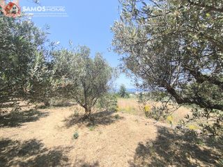 Οικόπεδο 1.041,81 τ.μ. για πώληση, Ν. Σάμου, Σάμος-thumb-13