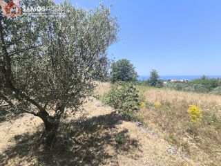 Οικόπεδο 1.041,81 τ.μ. για πώληση, Ν. Σάμου, Σάμος-thumb-14