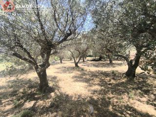 Οικόπεδο 1.041,81 τ.μ. για πώληση, Ν. Σάμου, Σάμος-thumb-15