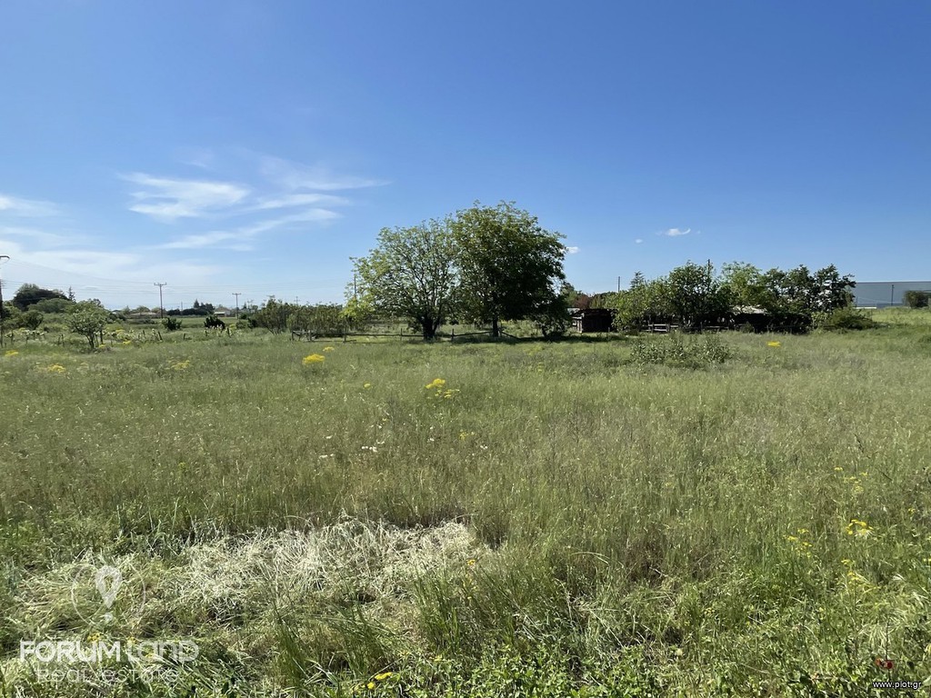 Αγροτεμάχια 8.000 τ.μ. προς πώληση, Mediterranean Cosmos