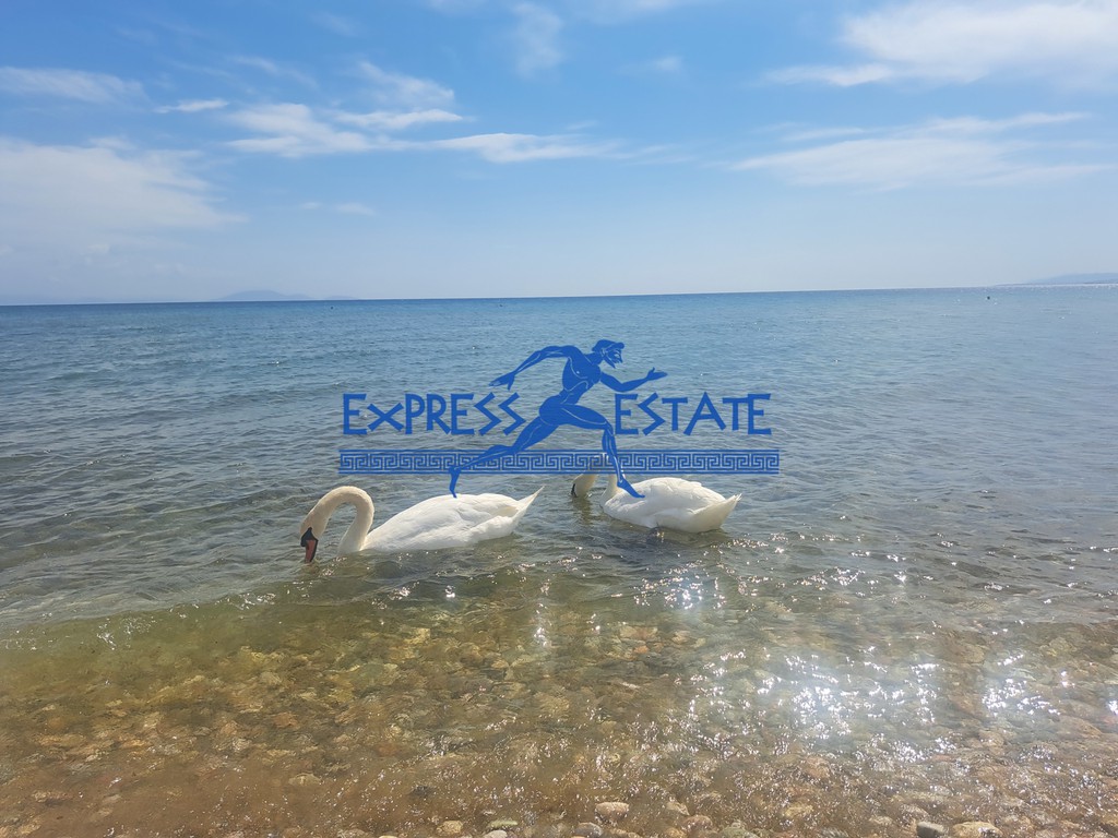 Οικόπεδο 250 τ.μ. πρός πώληση, Αθήνα - Ανατολικά Προάστια, Μαραθώνας