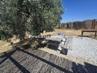 Μονοκατοικία 90 τ.μ. για πώληση, Εύβοια, Αιδηψός-thumb-23