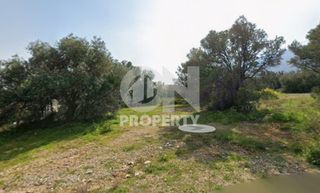 Land plot 507 sqm for sale