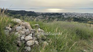 Αγροτεμάχια 4.950 τ.μ. για πώληση