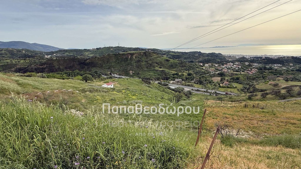 Αγροτεμάχια 4.950 τ.μ. πρός πώληση, Αχαΐα, Πάτρα