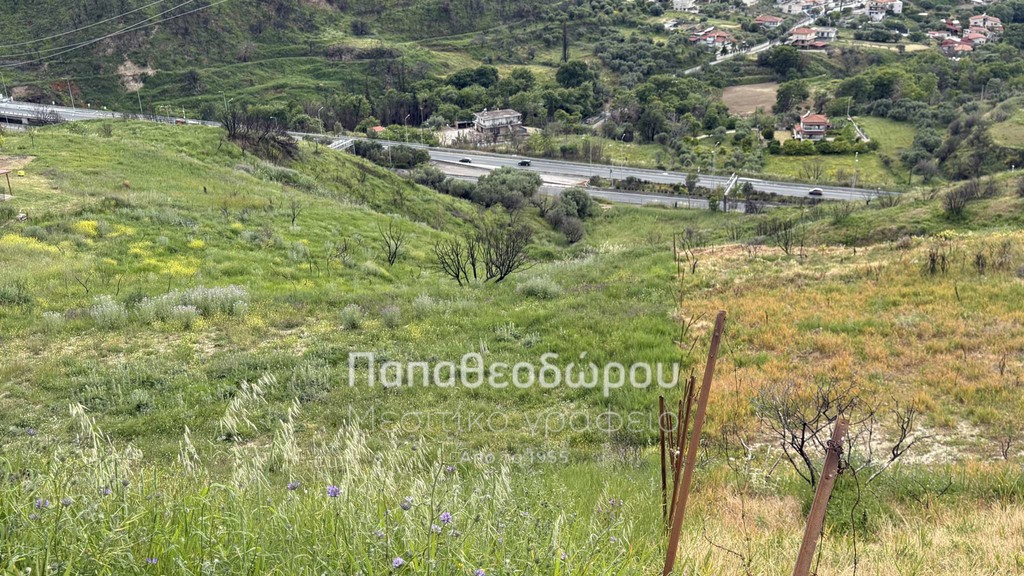 Αγροτεμάχια 4.950 τ.μ. πρός πώληση, Αχαΐα, Πάτρα