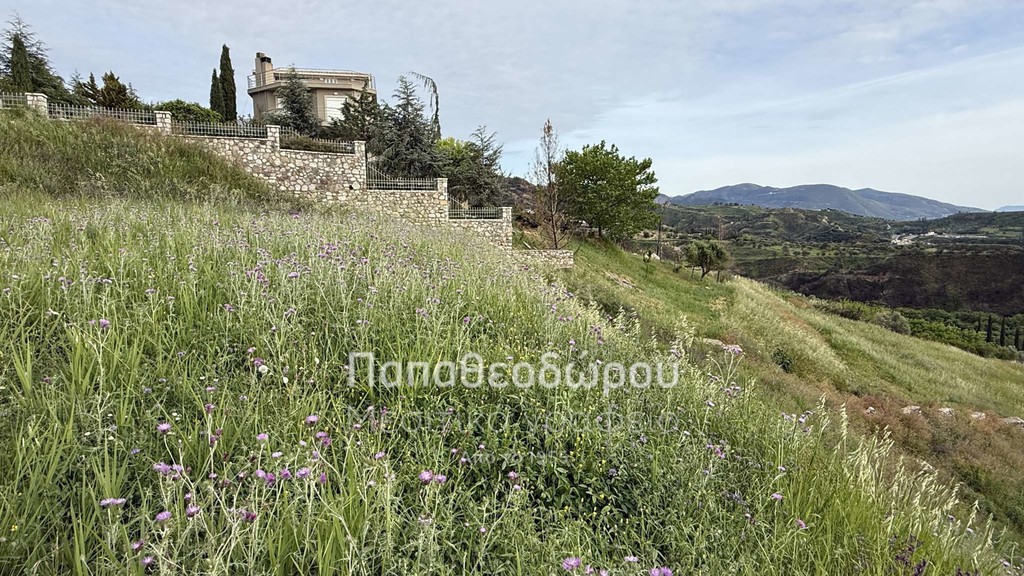 Αγροτεμάχια 4.950 τ.μ. πρός πώληση, Αχαΐα, Πάτρα