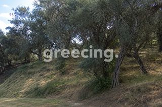 Οικόπεδο 4.000 τ.μ. για πώληση