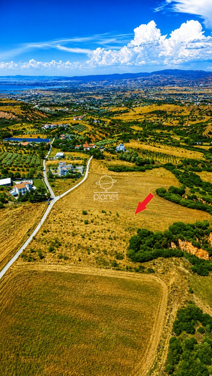 Αγροτεμάχια 7.350 τ.μ. πρός πώληση, Θεσσαλονίκη - Περιφ/Κοί Δήμοι, Θέρμη