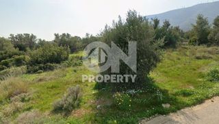 Land plot 570 sqm for sale